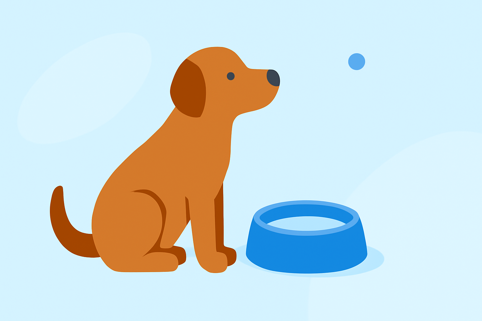 Best Hydration Tips for Pet Owners During Hot Weather