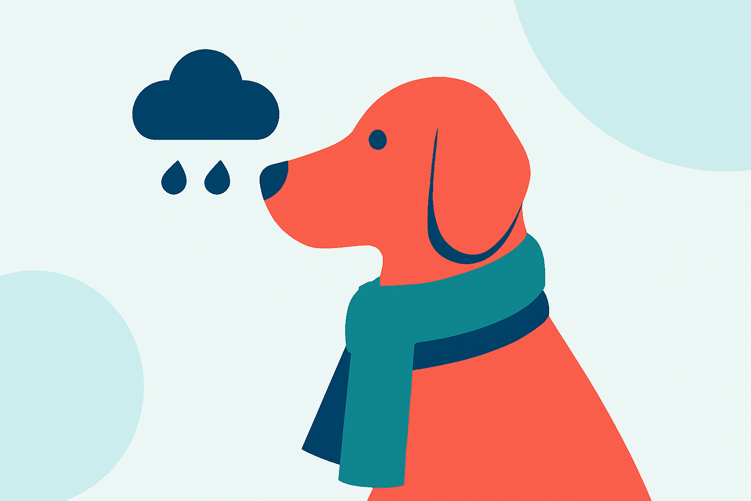 Essential Weather-Aware Accessories for Pet Owners