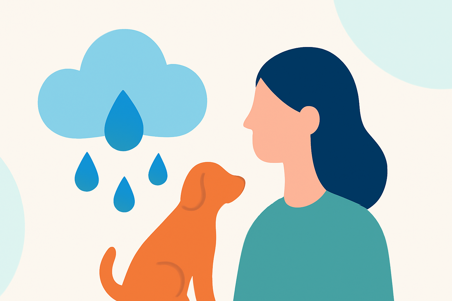 An Introduction to Rain Forecasts for Pet Owners