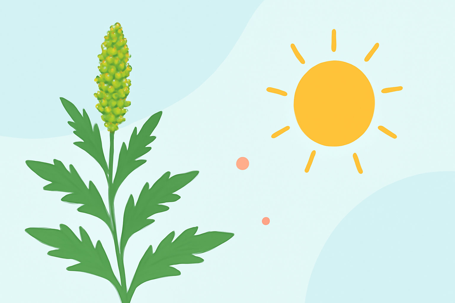 Understanding Ragweed Pollen During Heat Waves