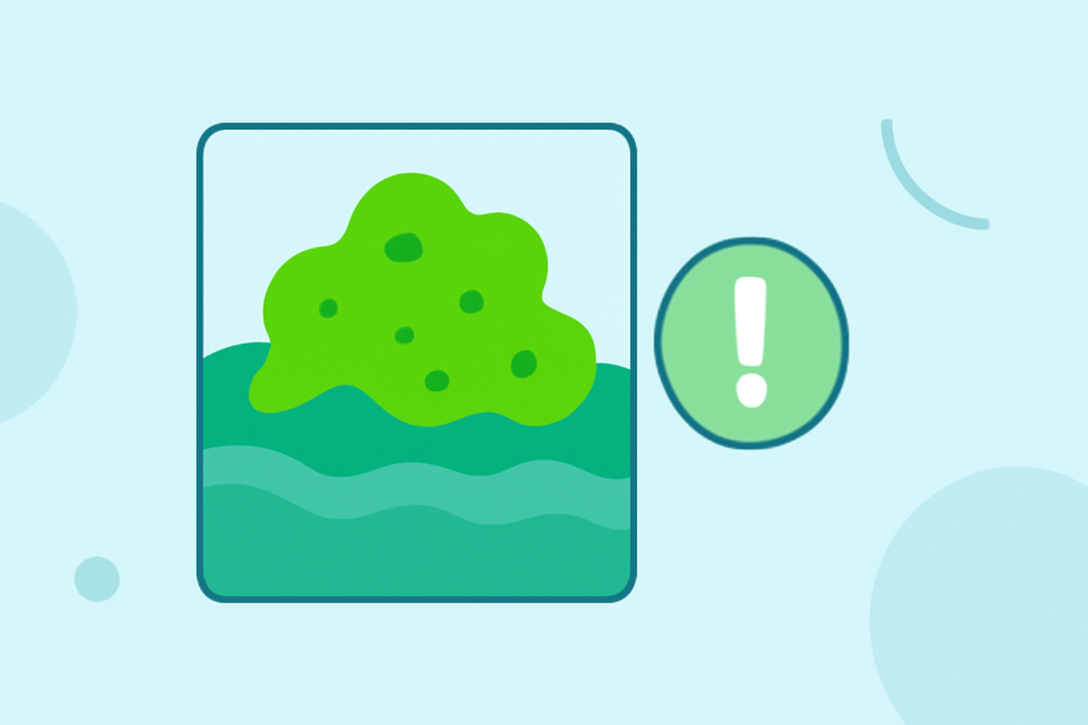 Understanding Algae Bloom Season Outlooks: Common Mistakes to Avoid