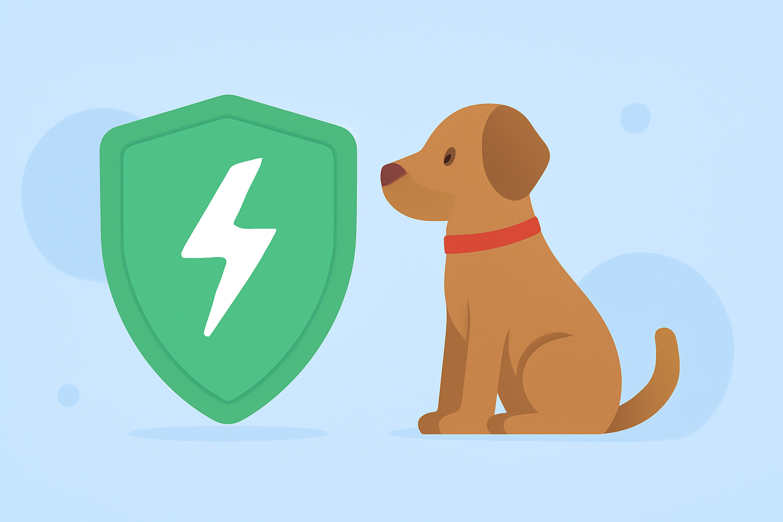 Lightning Strike Prevention Cheat Sheet for Pet Owners