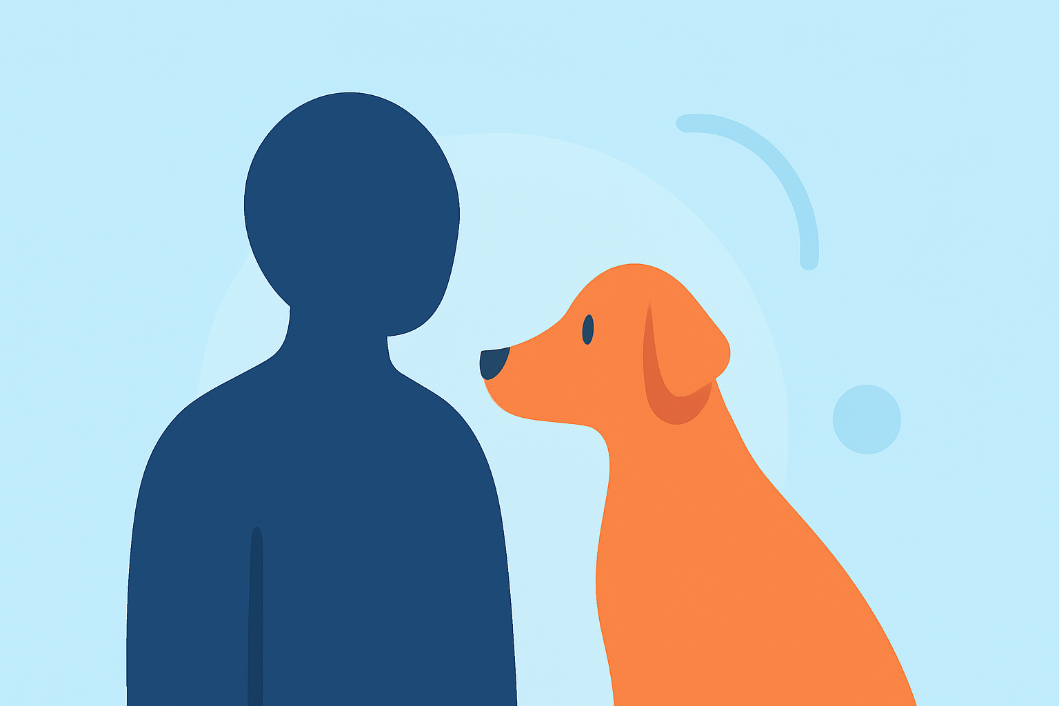 Addressing Common Gaps in Pet Care: A Guide for U.S. Pet Owners