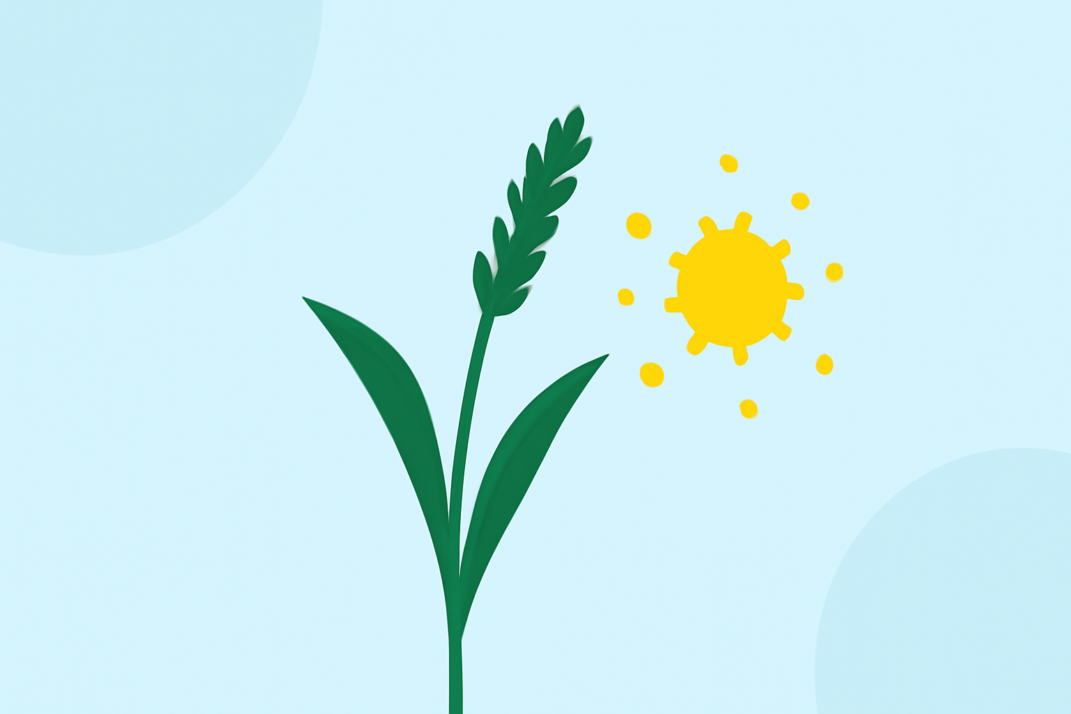 Understanding Grass Pollen Allergies: A Comprehensive Guide