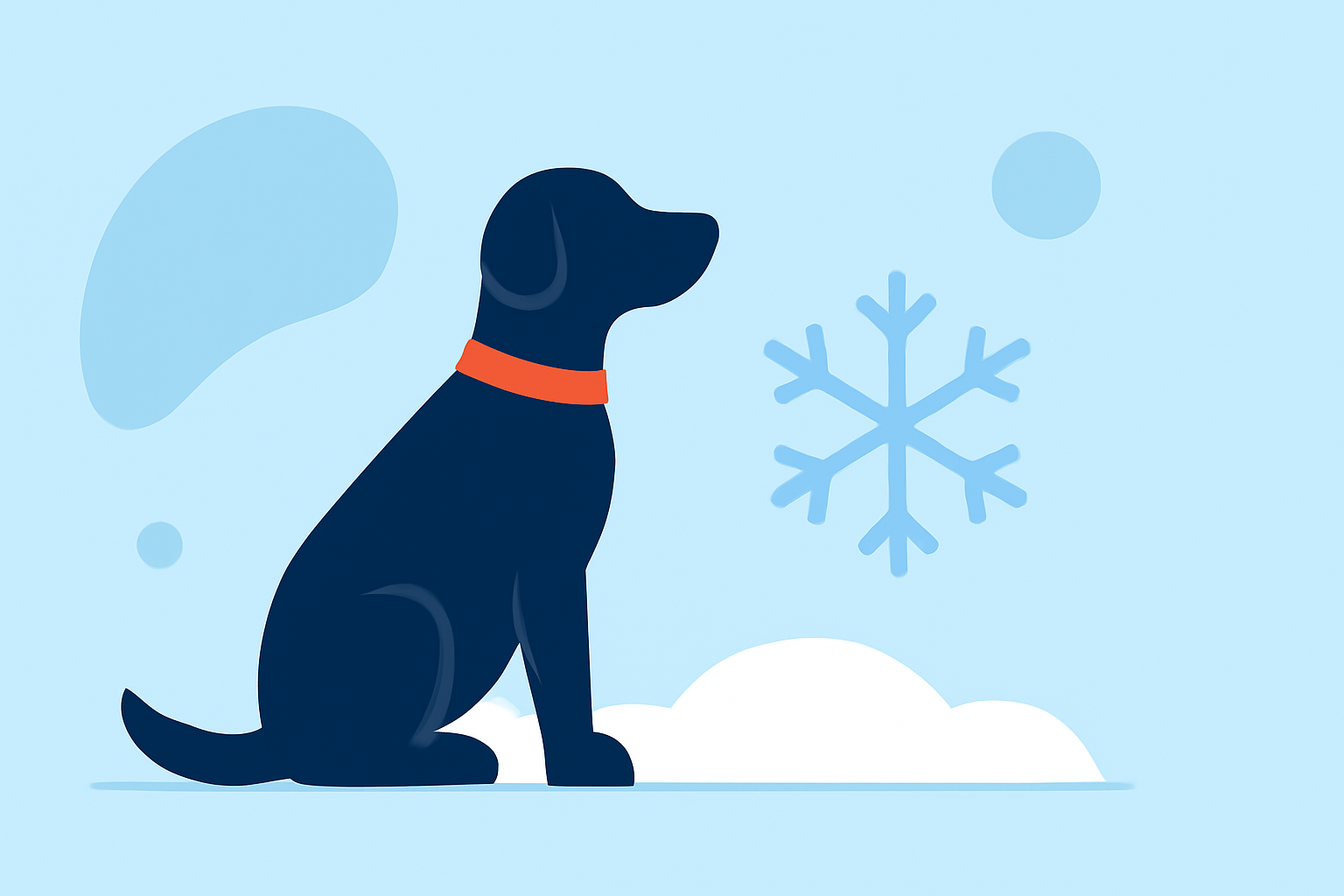 What Pet Owners Need to Know About Snow Accumulation