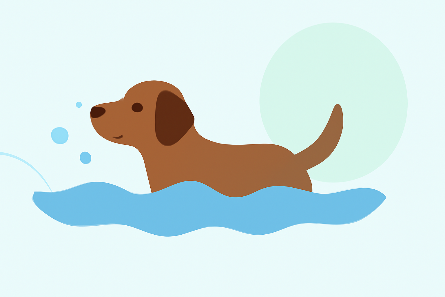 Safe Swimming Conditions for Dogs: A Comprehensive Guide for Pet Owners