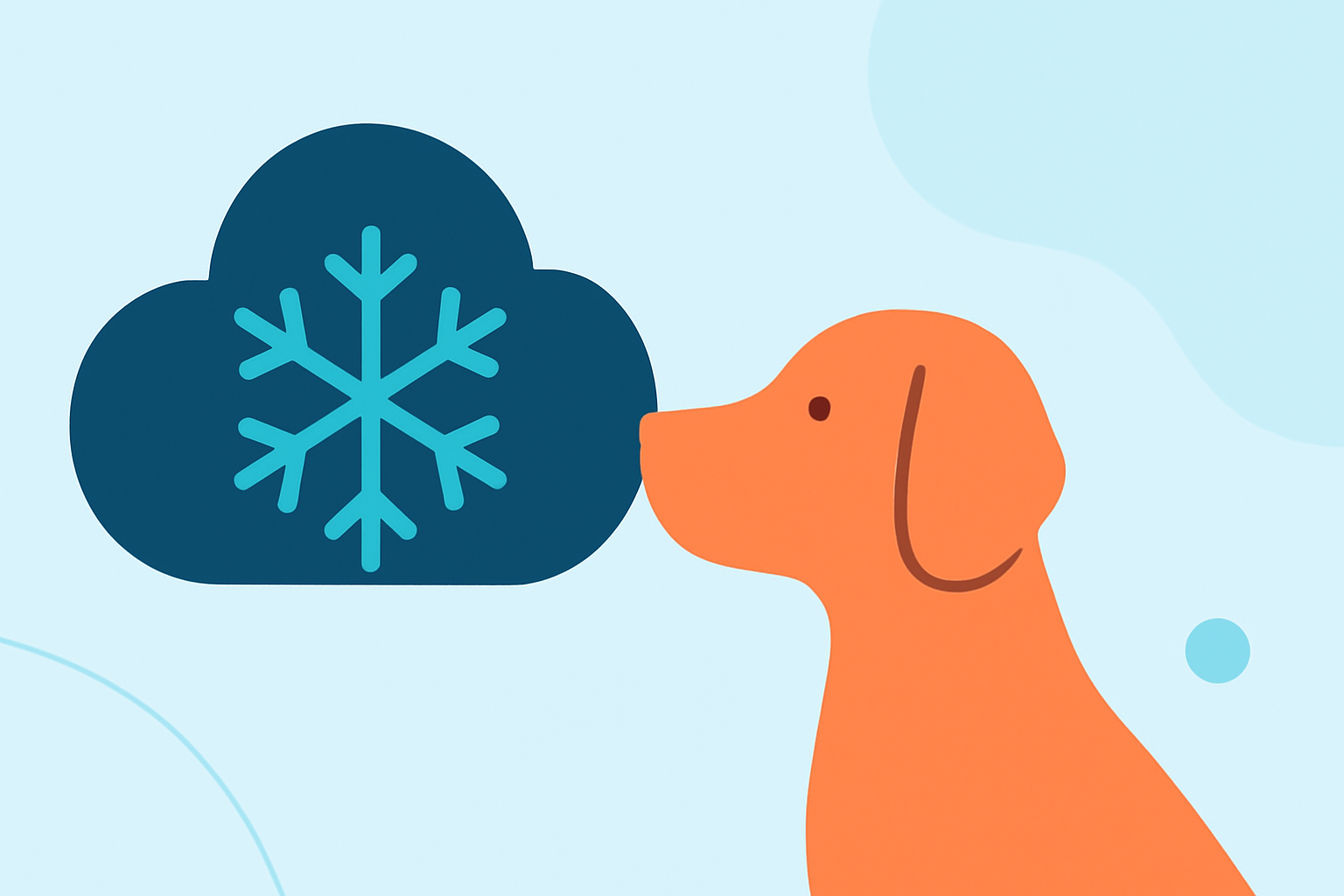 An Introduction to Ice Accumulation for Pet Owners