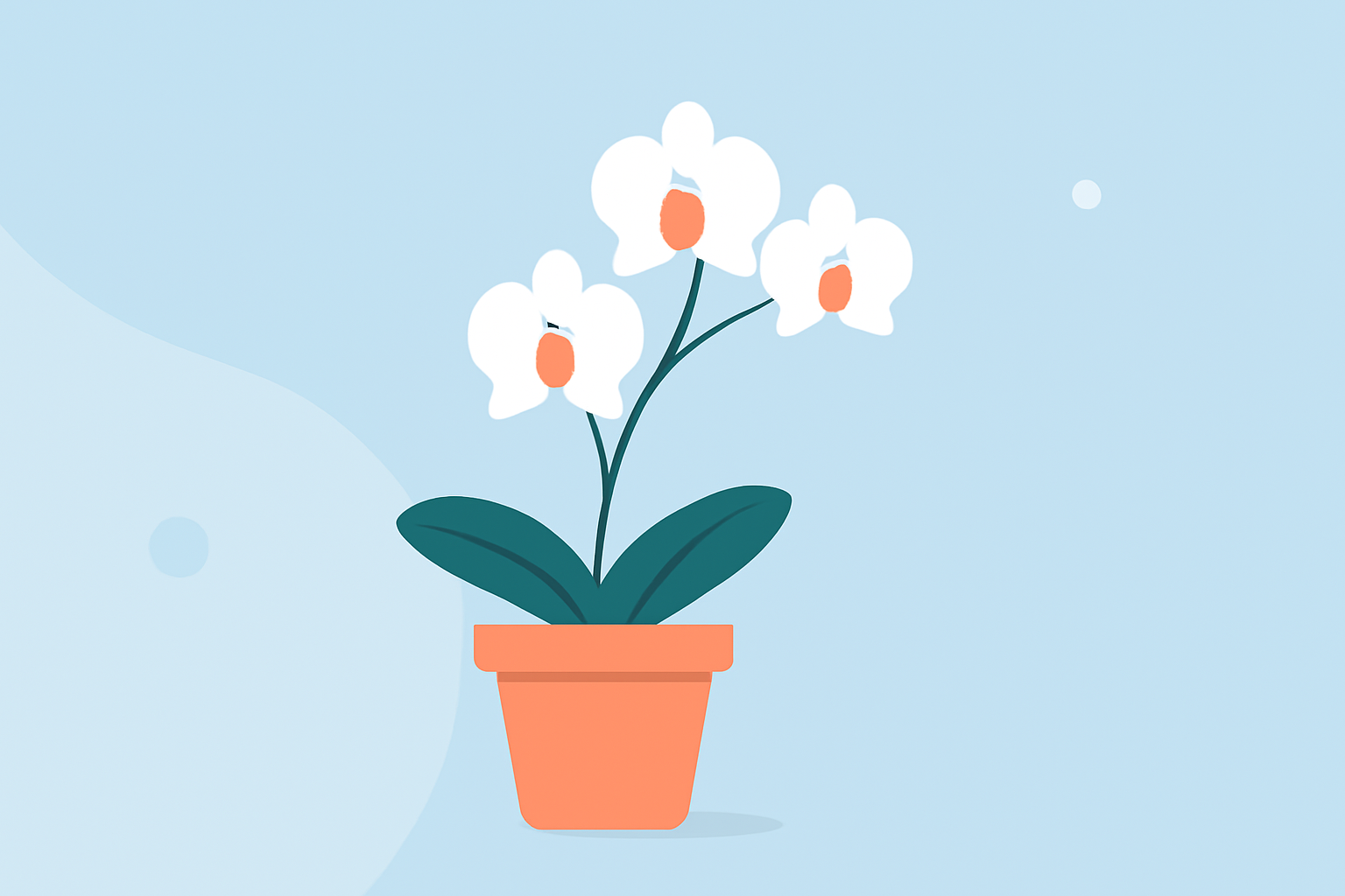 Essential Guide to Orchid Care During Winter Storms