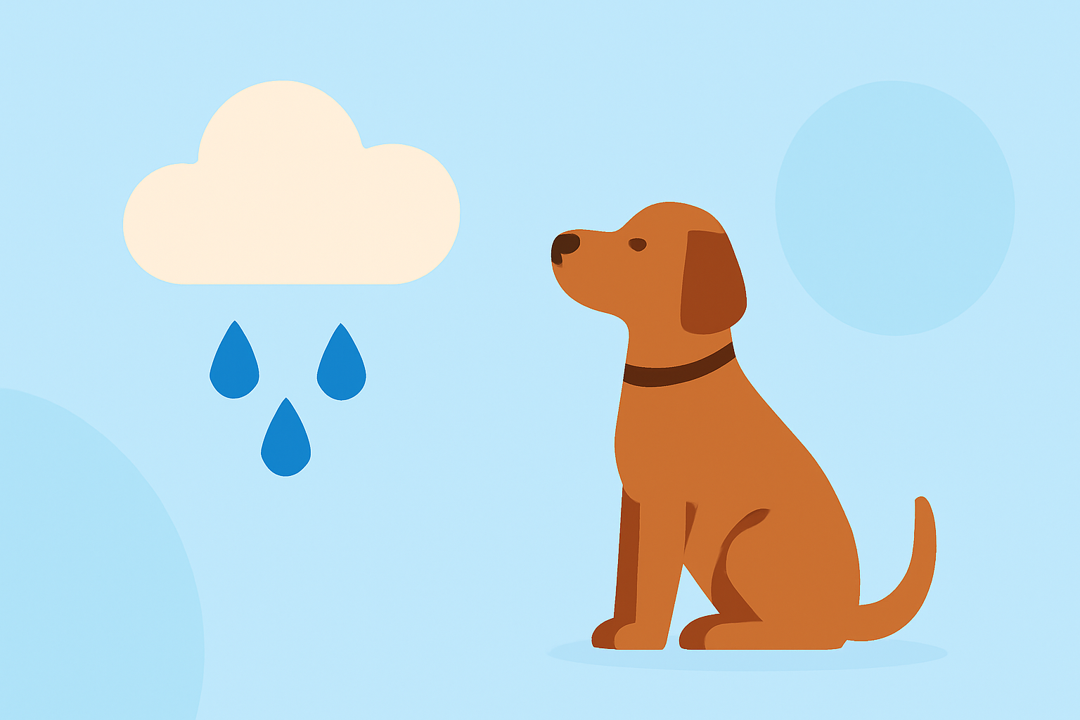 Understanding Precipitation Intensity: A Guide for Pet Owners