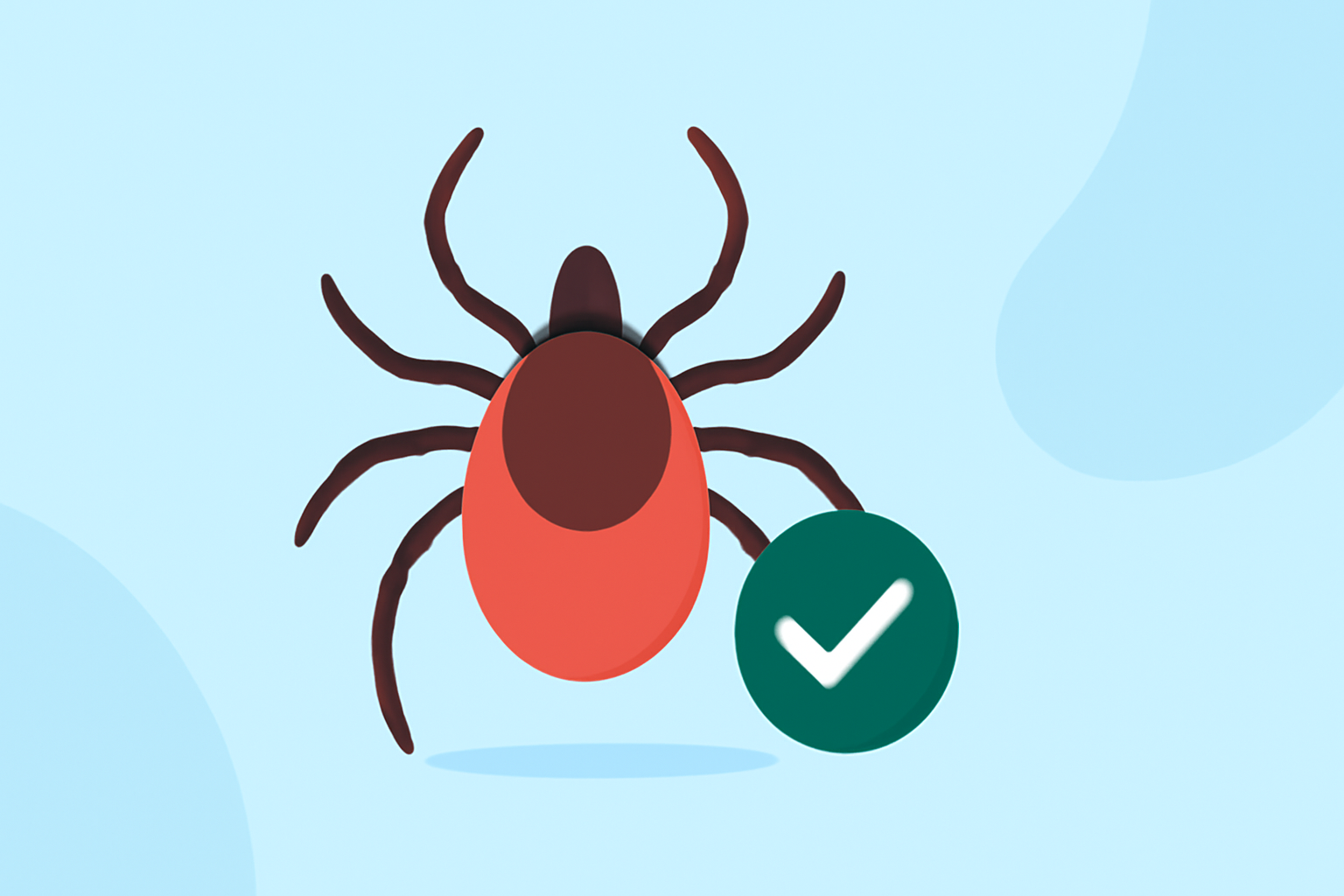 Comprehensive Guide to Tick Season Outlooks and Prevention Strategies in the United States