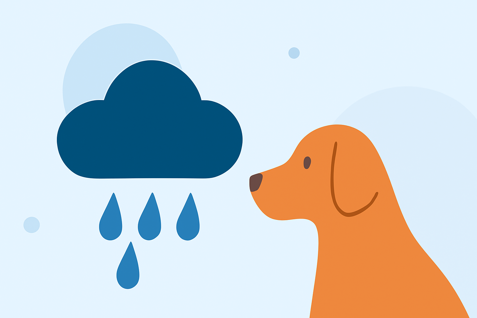 An Introduction to Precipitation Accumulation for Pet Owners