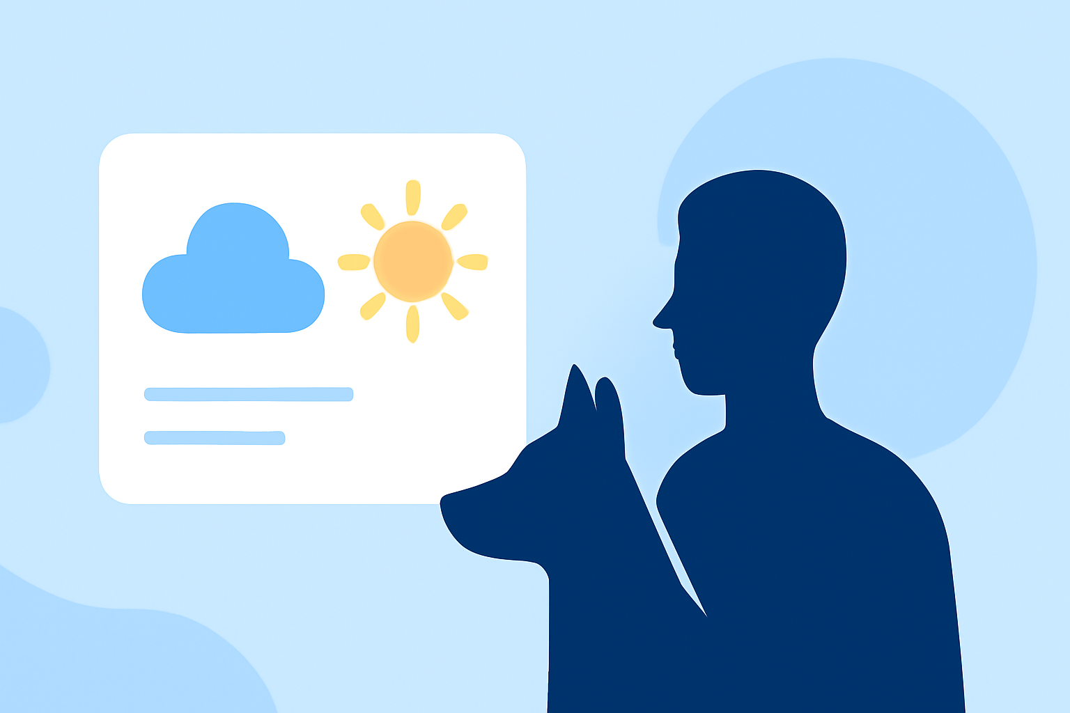 Weather Stack Widgets Explained for Pet Owners