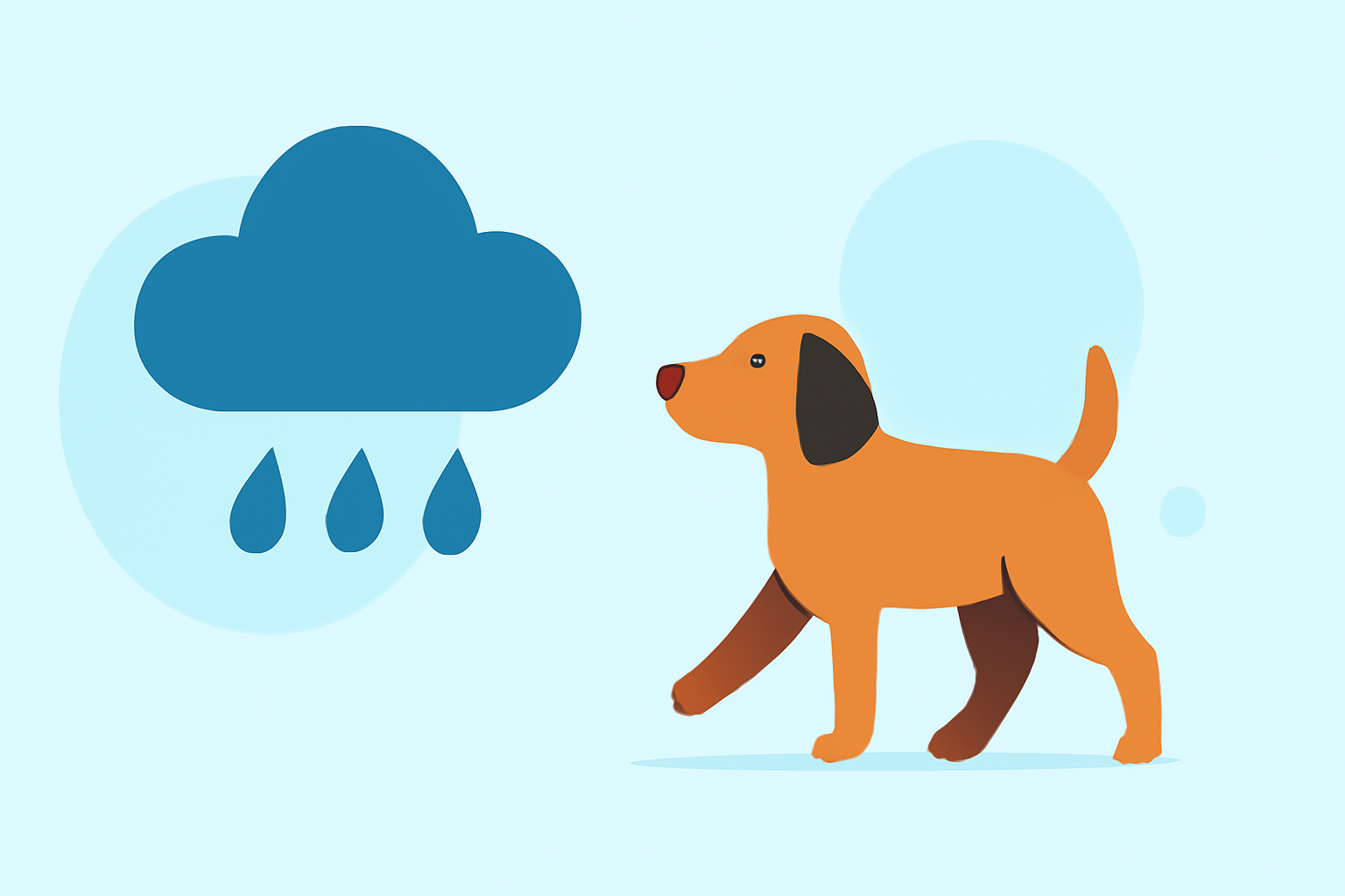 An Introduction to Weather for Dog Walking