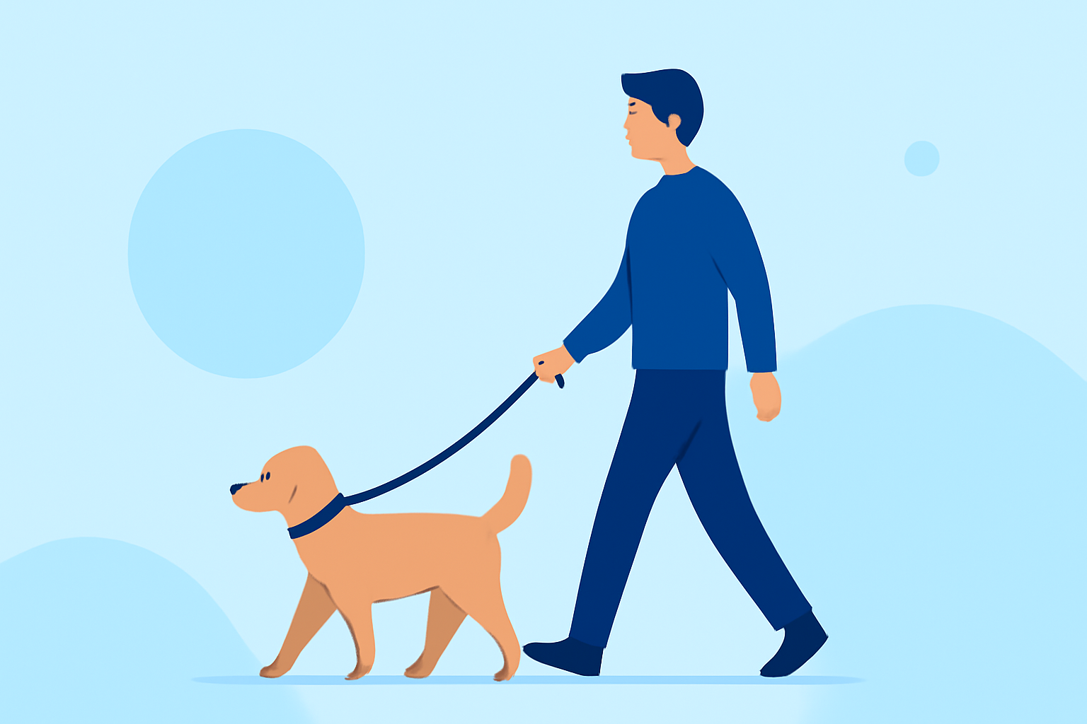 Best Time to Visit a City with Your Pet: A Step-by-Step Guide