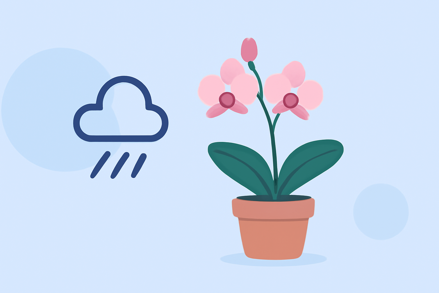 Weather Insights for Successful Orchid Growing