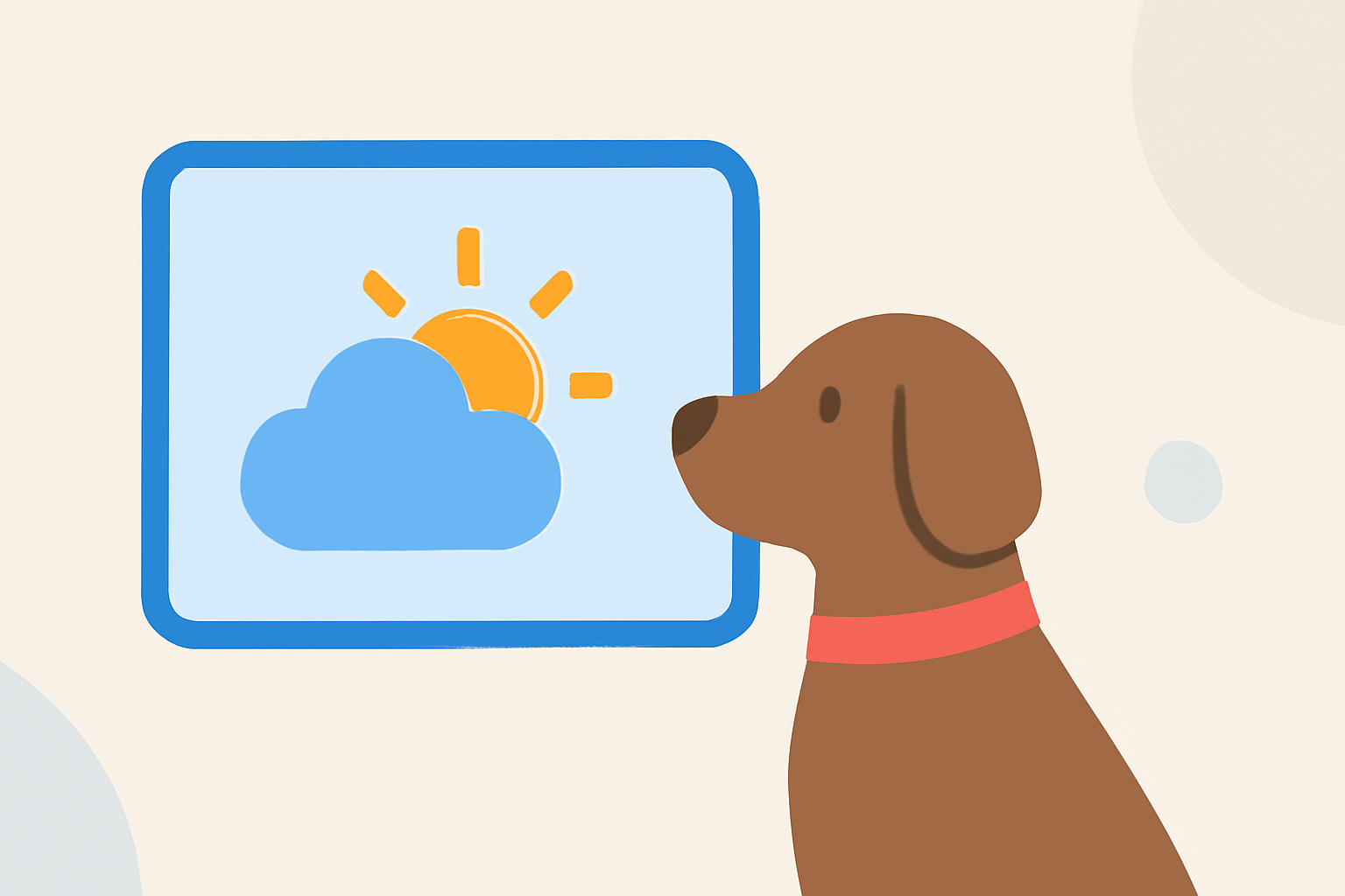 Weather Considerations for Pet-Friendly Hotel Stays in the United States