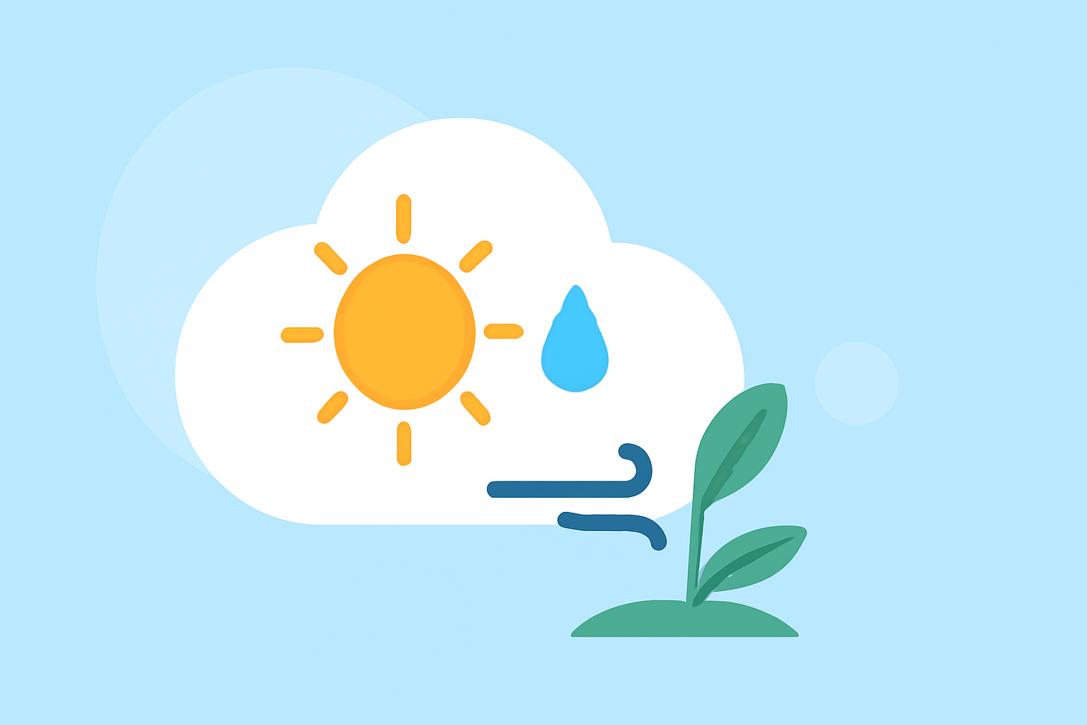 Weather Considerations for Successful Outdoor Gardening