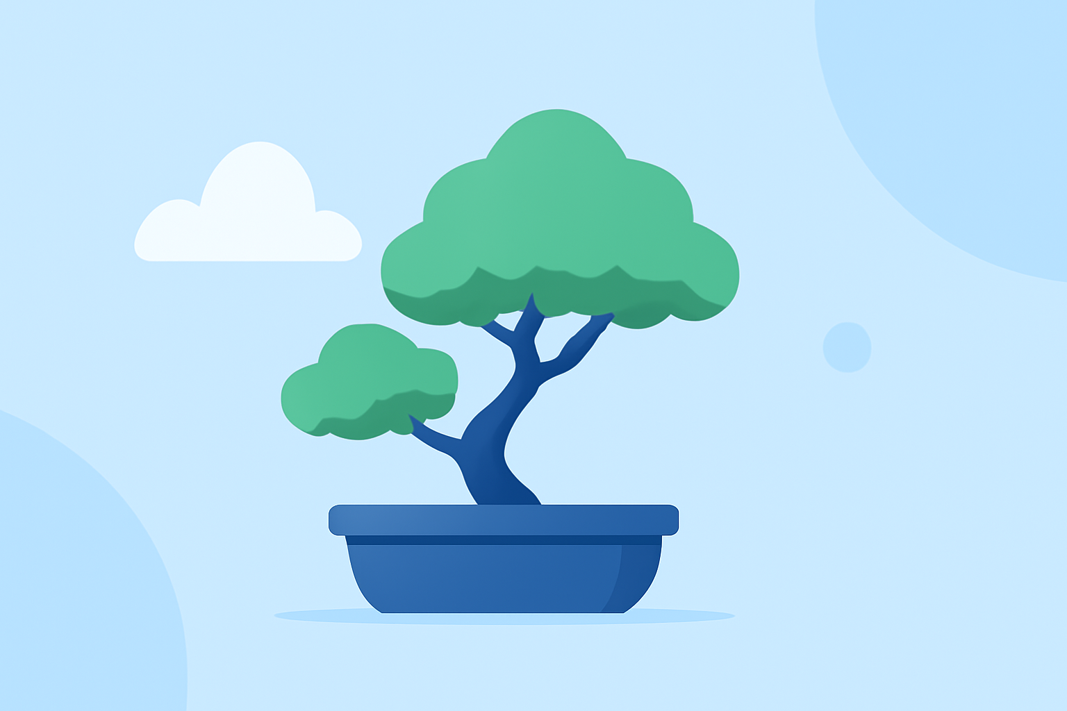 An Introduction to Weather for Bonsai Care