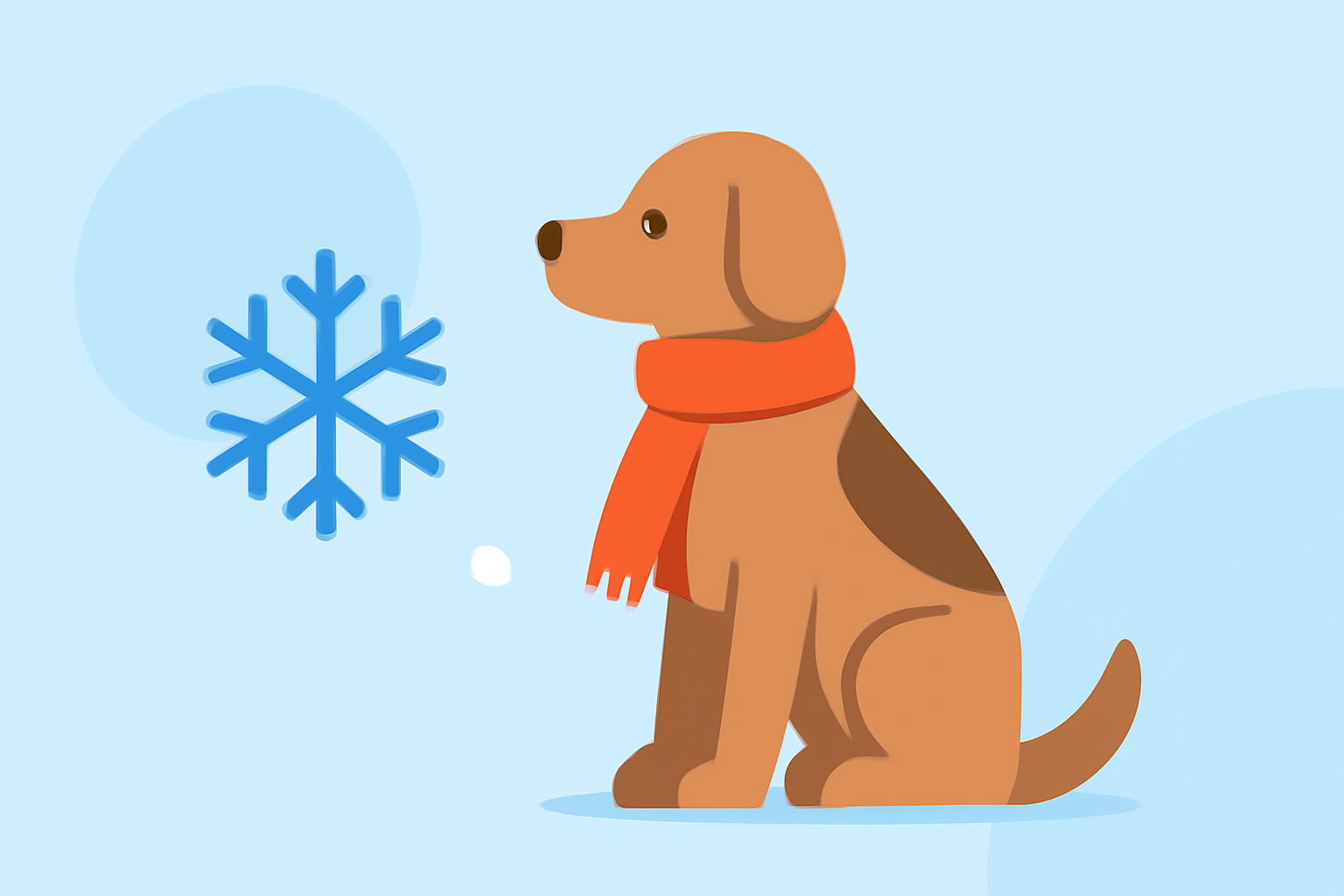 Hypothermia Prevention Guide for Pet Owners