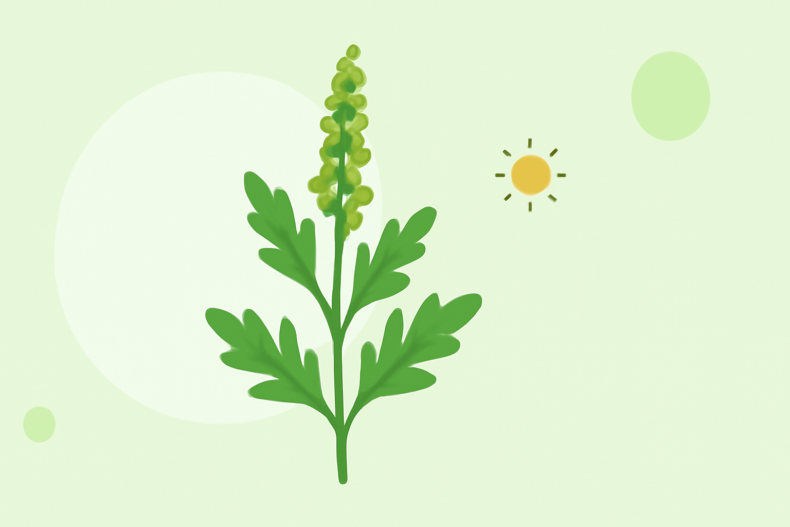 Comprehensive Guide to Ragweed Pollen: Identification, Impact, and Management