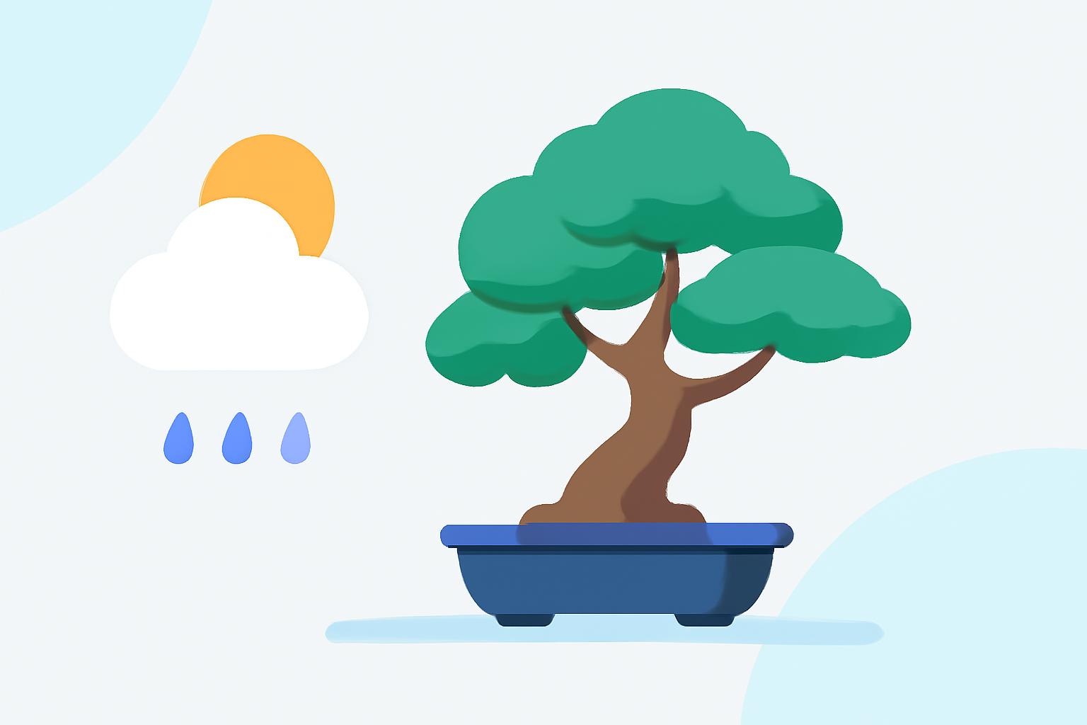 Understanding Weather for Bonsai Care