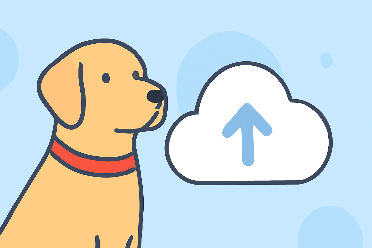 Easy Weather for Rugby: Insights for Pet Owners