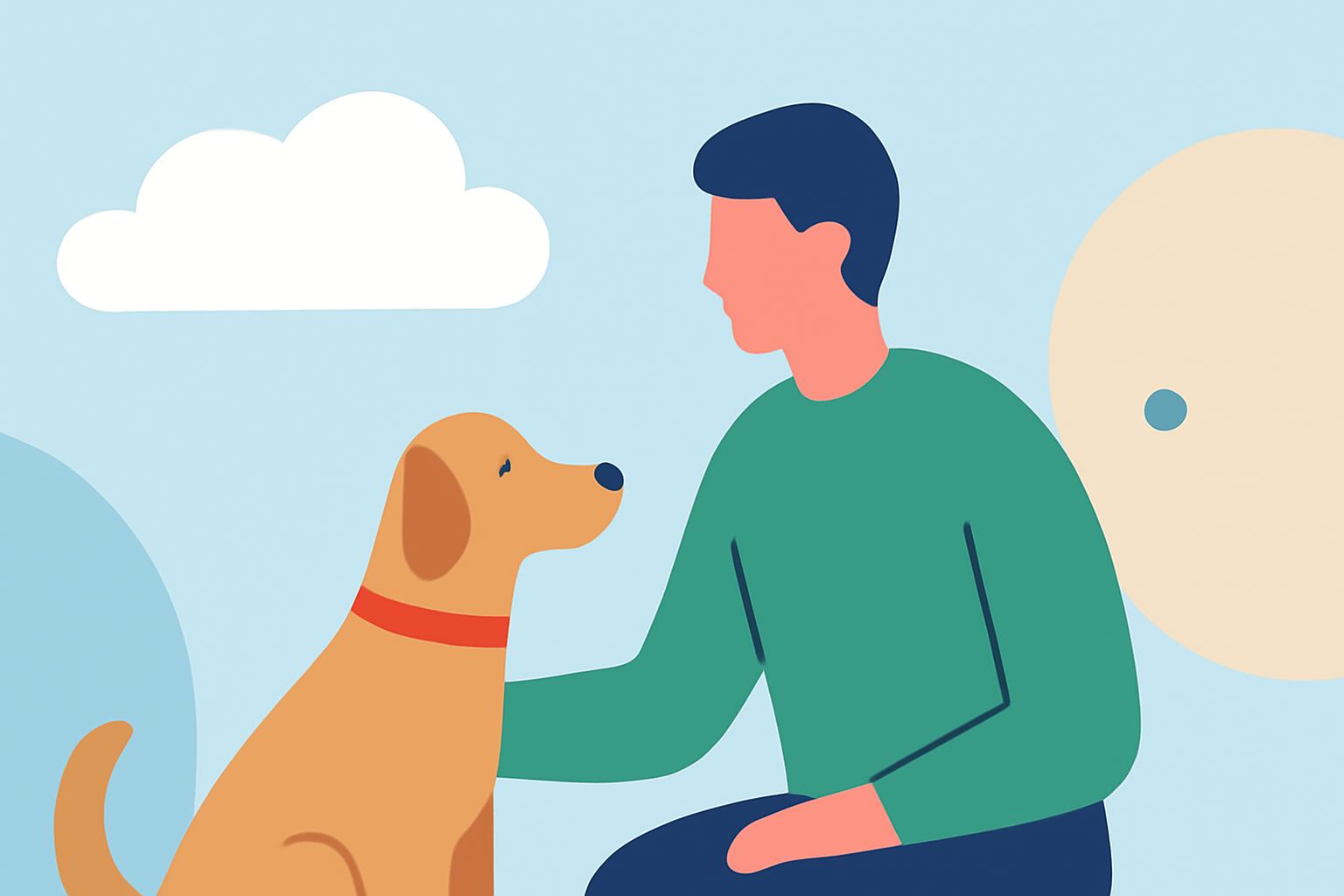 Easy Weather for Soccer for Pet Owners: A Guide